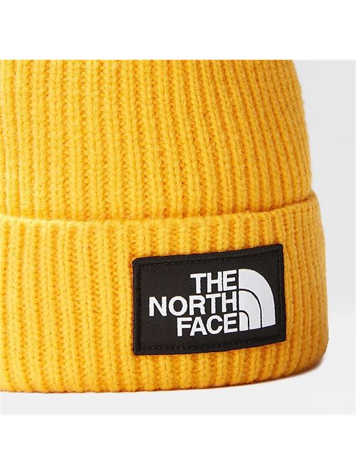 tnf logo box cuffed beanie THE NORTH FACE | NF0A3FJX56P1